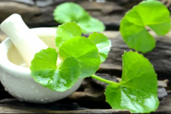 BRAHMI