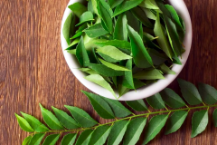 CURRY-LEAVES