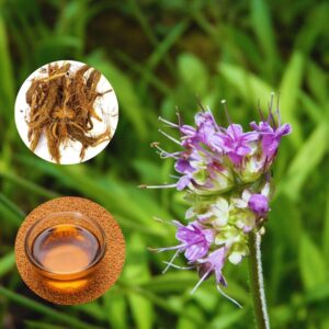 Hair growth Oil - 100 ml